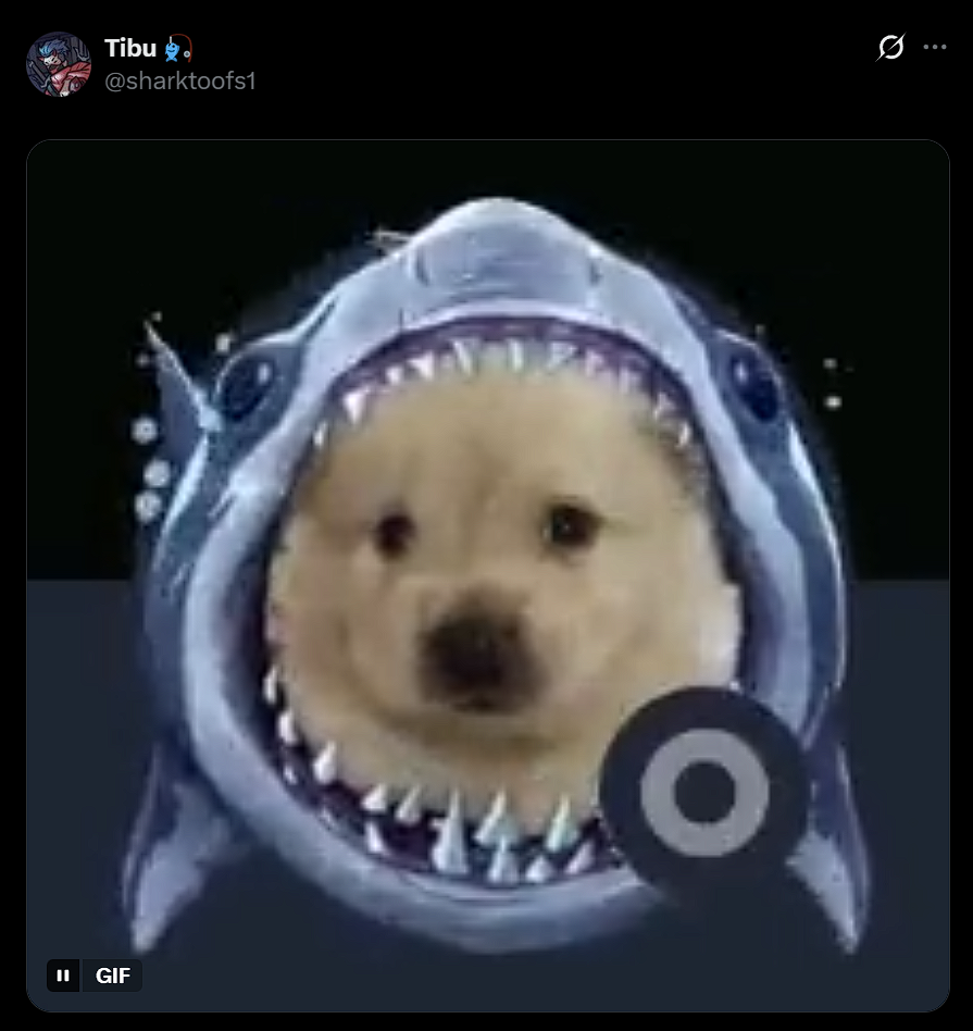 SharkDog Tweet